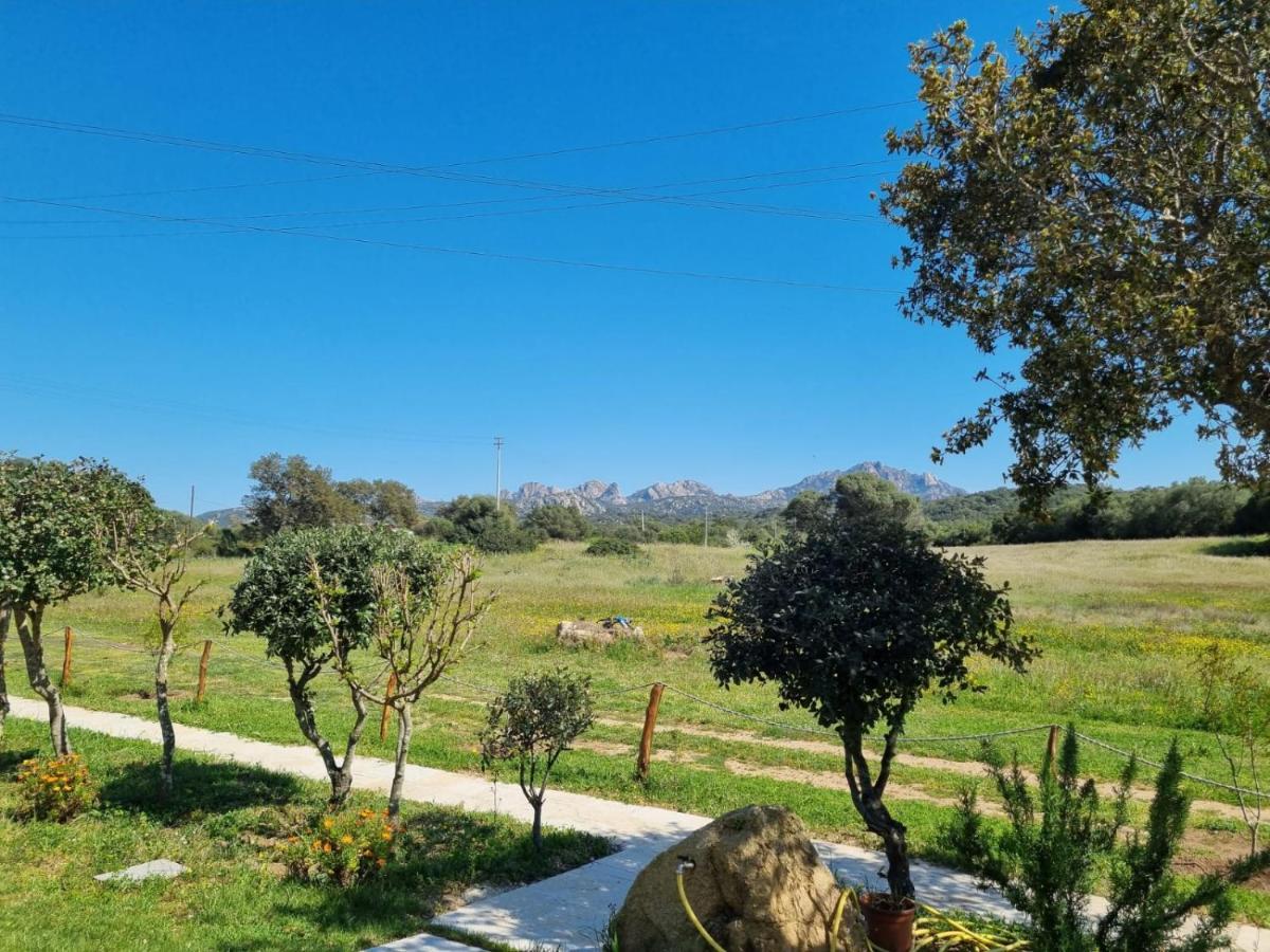 Lu Antu Alloggi Agrituristici Арцакена Екстер'єр фото